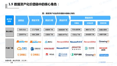 干貨丨 2021中國(guó)數(shù)據(jù)資產(chǎn)化工具市場(chǎng)研究報(bào)告