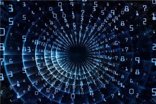 高校專業(yè)解讀 計(jì)算機(jī)信息技術(shù)與計(jì)算機(jī)技術(shù)開發(fā)