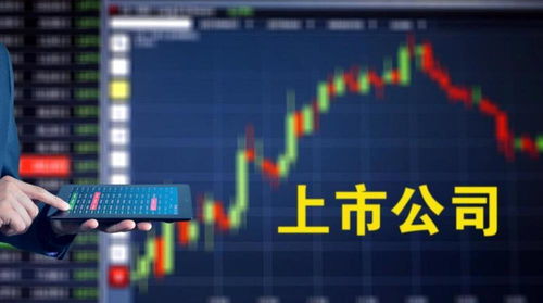 4個(gè)月里第3次披露增持計(jì)劃，新海宜能否保殼成功？計(jì)算機(jī)技術(shù)開發(fā)成關(guān)鍵