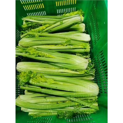贏得兩地市場(chǎng)的信賴(lài)——橋頭鎮(zhèn)與常平鎮(zhèn)食材供應(yīng)到底該選誰(shuí)？